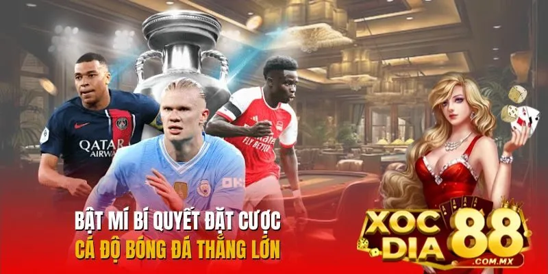 Tham khảo chiến thuật cá độ bóng đá hiệu quả
