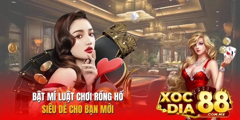 Hướng dẫn luật chơi Rồng Hổ đơn giản cho tân thủ