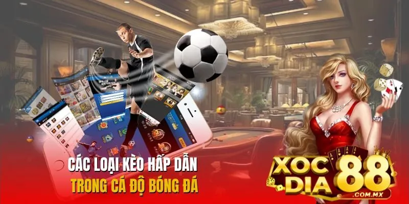 Tổng hợp các loại kèo phổ biến trong cá độ