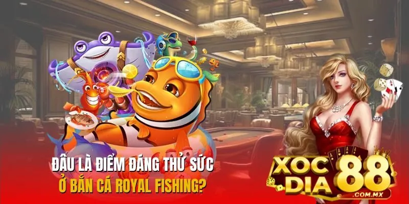 Điểm hấp dẫn nào đáng để trải nghiệm ở Bắn Cá Royal Fishing