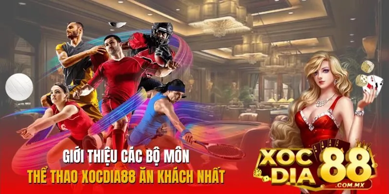 Top các môn thể thao ăn khách tại Xocdia88