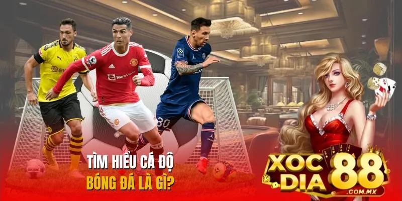 Giới thiệu thông tin về cá độ bóng đá